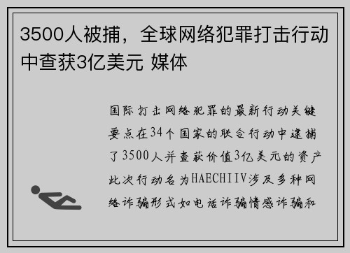 3500人被捕，全球网络犯罪打击行动中查获3亿美元 媒体