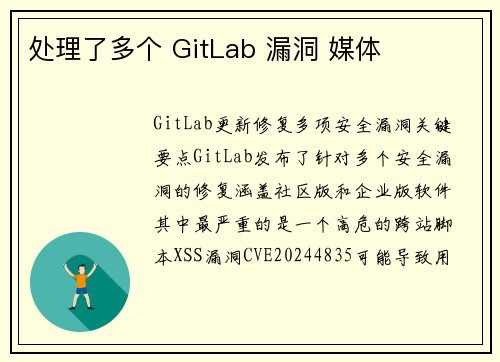 处理了多个 GitLab 漏洞 媒体